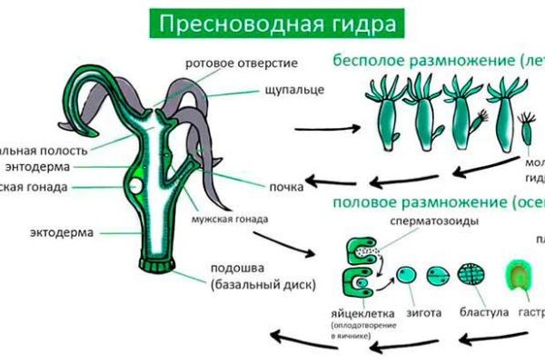 Восстановить аккаунт на кракене