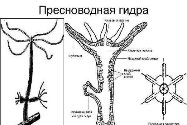 Кракен ссылка kraken