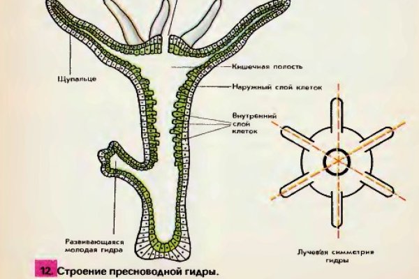 Кракен даркнет официальный сайт